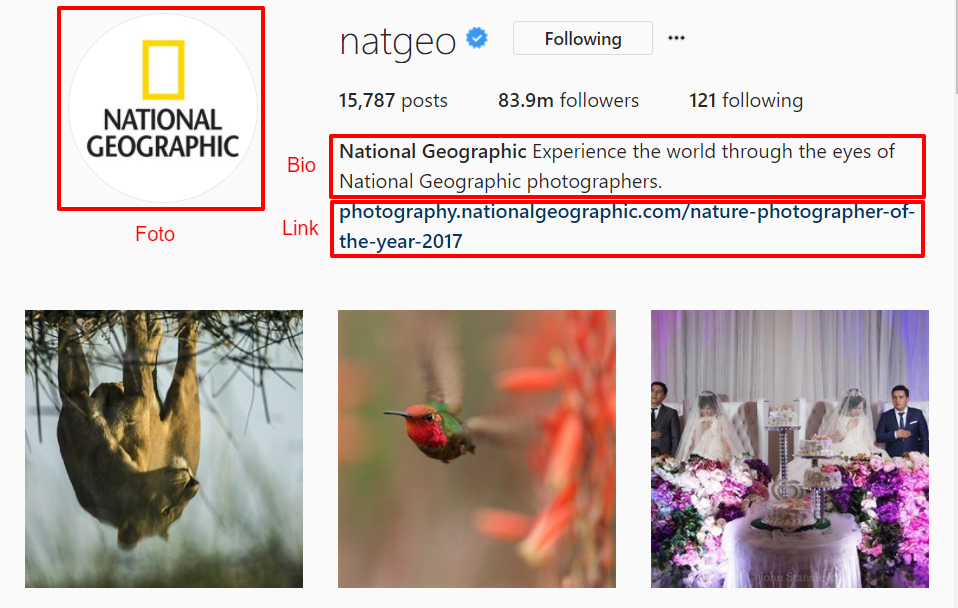 Instagram National Geographic